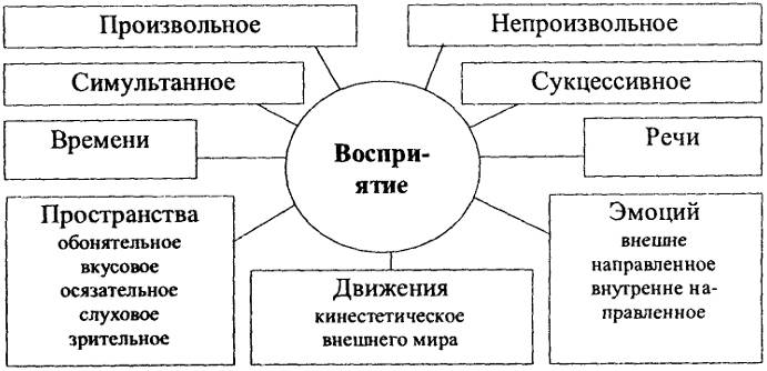 Восприятие в психологии