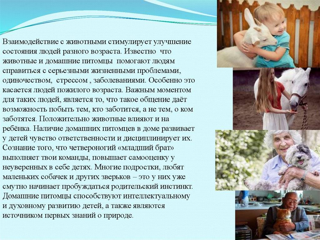Как определить психологию человека по поведению и жестам
