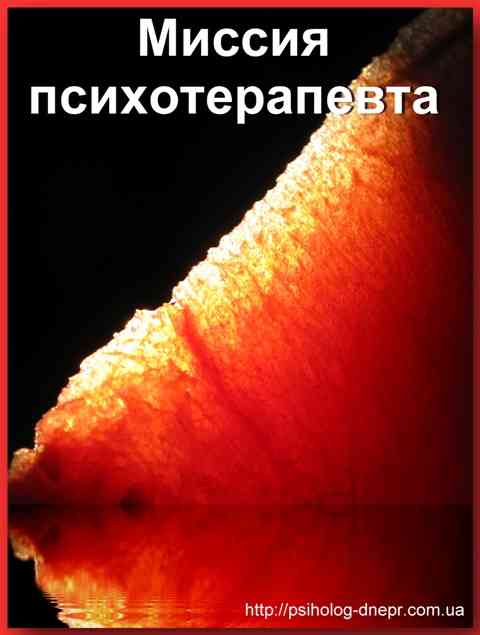 12 типов миссии человека
