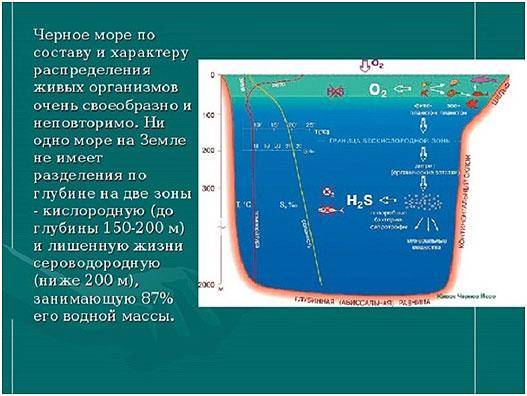 Дать сравнительную характеристику белого и чёрного морей