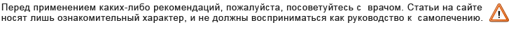 Продукты для памяти и мозга: всё что улучшает работу головы