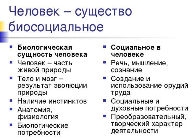 Человек как биологическое и социальное существо план