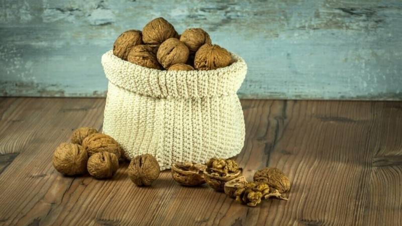Какие орехи самые полезные для мужчин