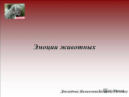 Невербальное проявление эмоциональных состояний человека
