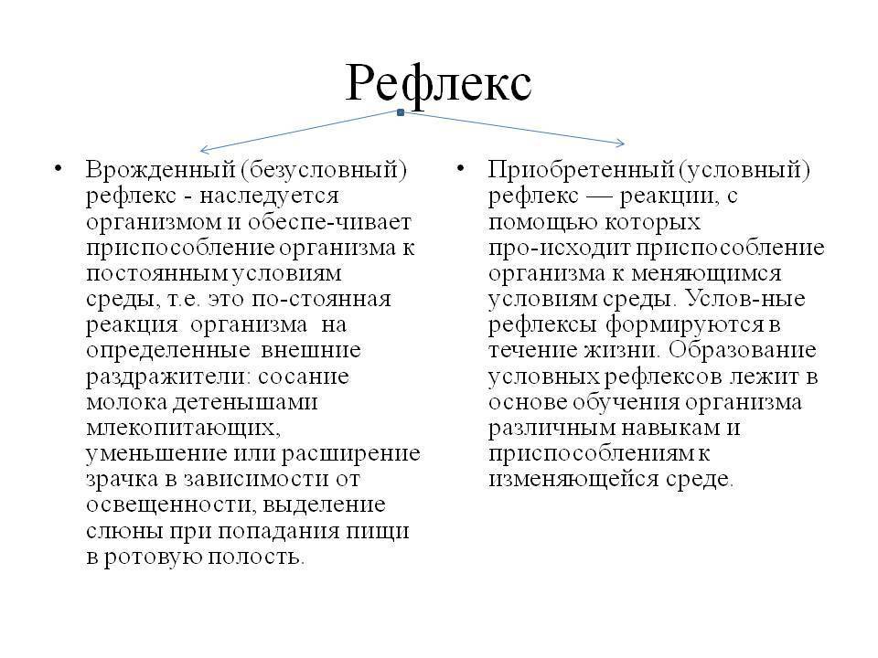 Условные и безусловные рефлексы презентация