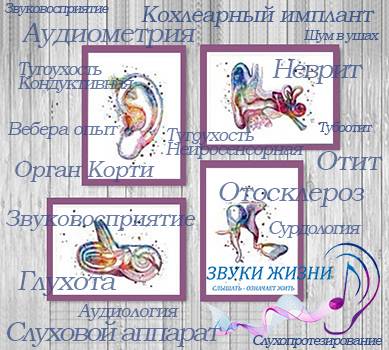 Что такое абсолютный слух? как развить абсолютный слух?
