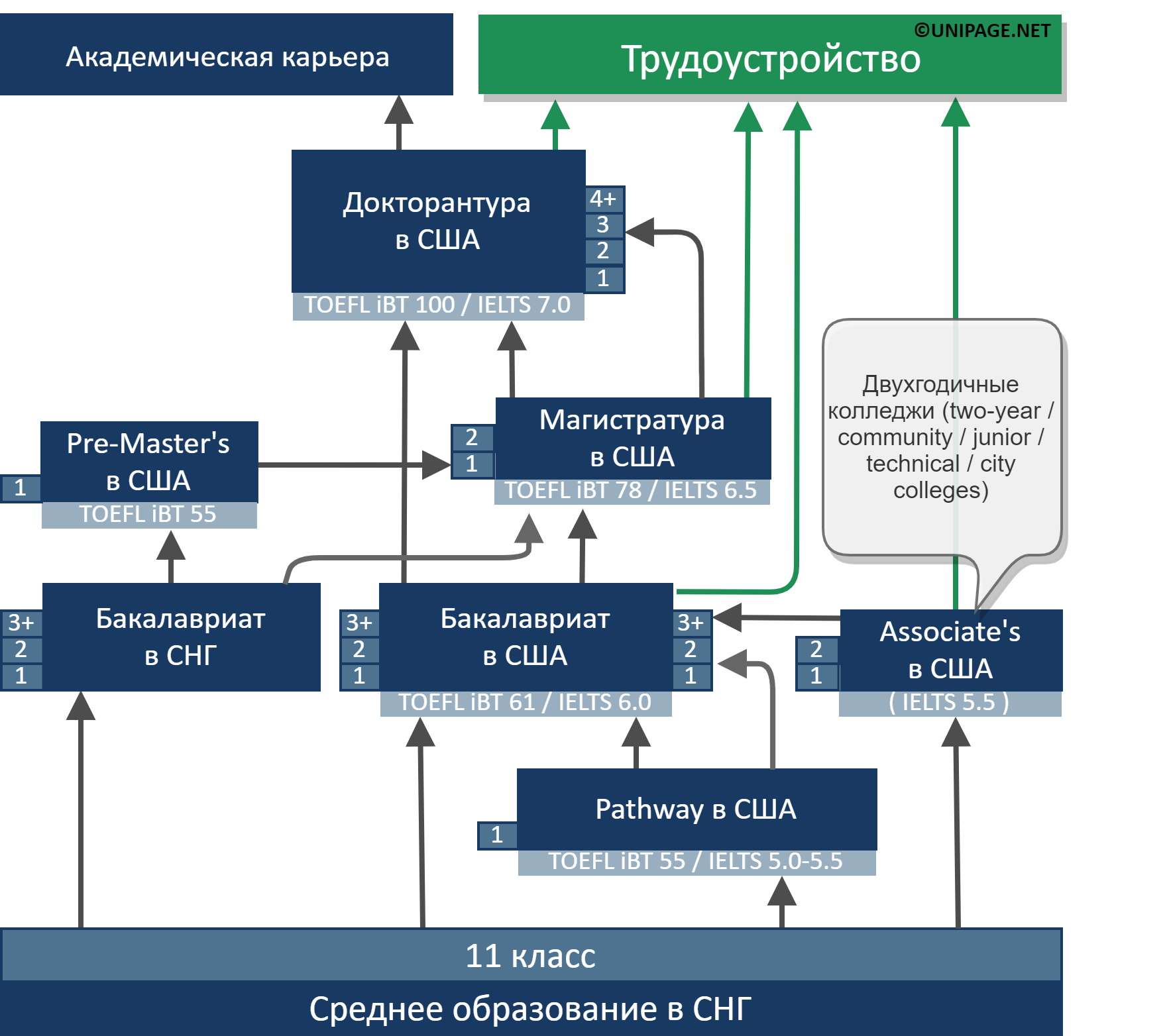 Система высшего образования в великобритании