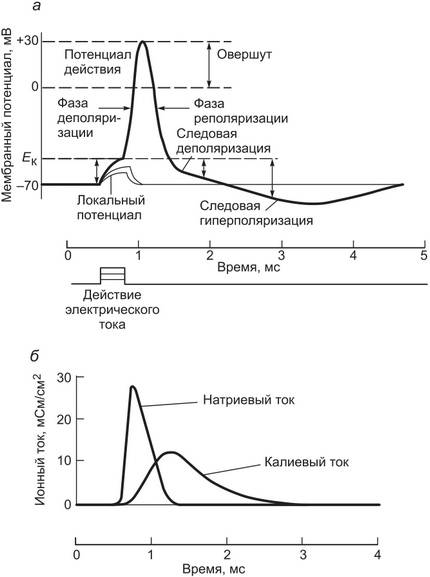 Психология жизненной энергии человека