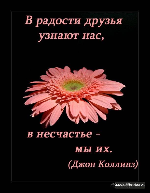 Красивые фразы про дружбу. Высказывания о дружбе и друзьях. День друзей высказывания. С днём друзей цитаты.