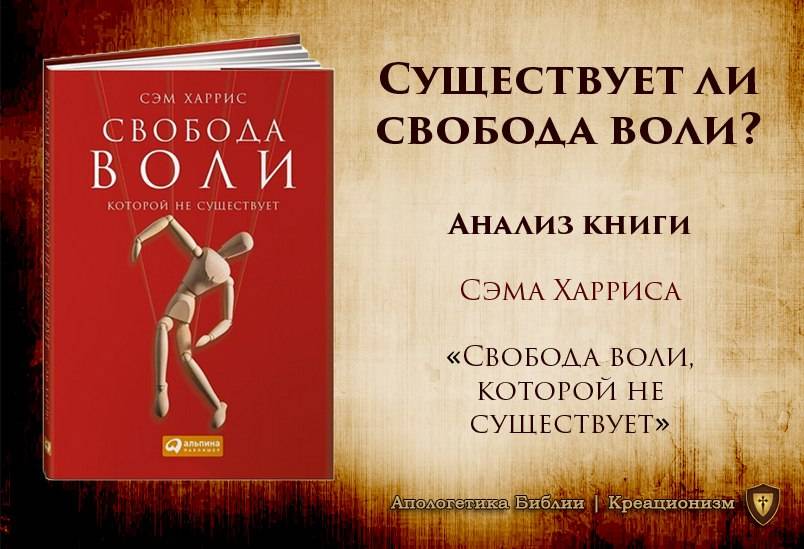 Свобода воли картинки