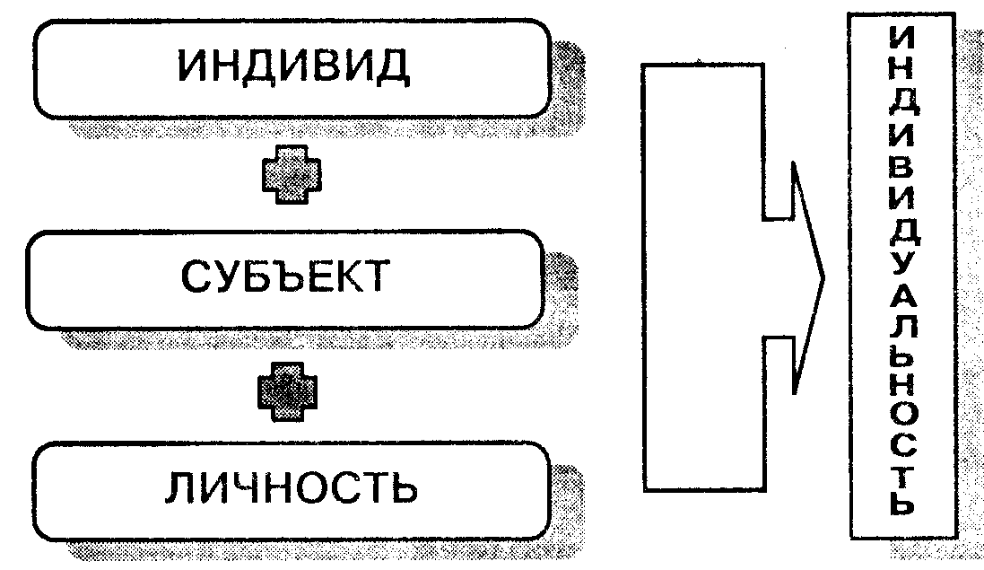 Что изучает общая психология