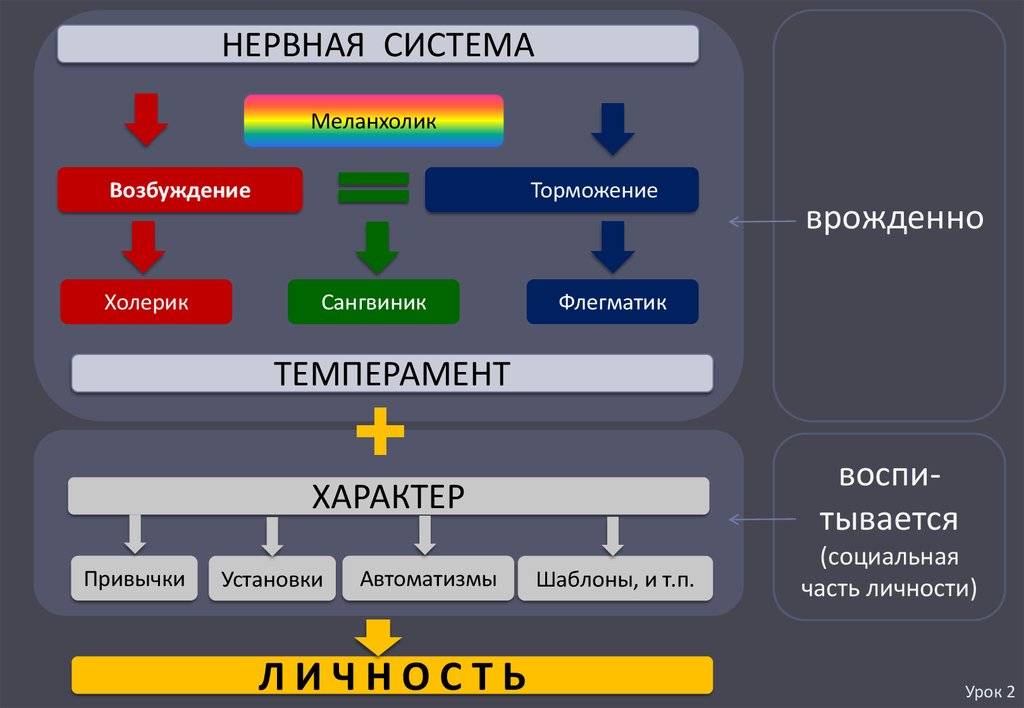 Кто вы по типу темперамента: полная характеристика и особенности по возрастам :: инфониак