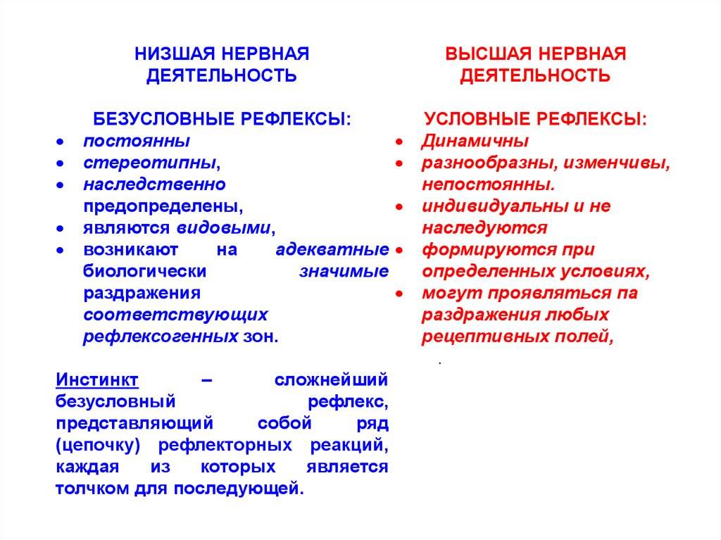 Понятие о высшей и низшей нервной деятельности. развитие представлений о высшей нервной деятельности. методы исследования внд