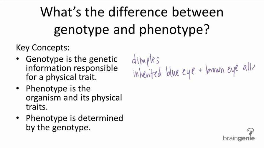 Генотип и фенотип