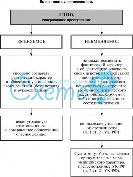 Вменяемый это. Вменяемость. Понятие и признаки невменяемости.. Понятие вменяемости понятие и критерии невменяемости. Вменяемость (невменяемость): понятие и критерии. Критерии невменяемости в уголовном праве.