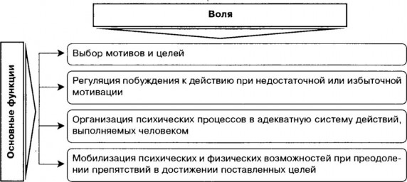 Свобода воли