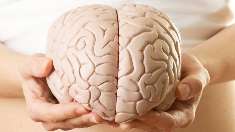 10 фактов о работе мозга, которые доказывают, что мы способны на все