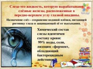 Как перестать плакать по любому поводу: советы и рекомендации психолога