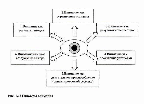 Какие существуют виды внимания и на что оно влияет при взаимодействии человека и компьютера