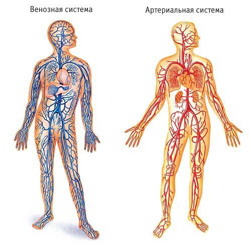 Нарушение венозного оттока головного мозга симптомы лечение