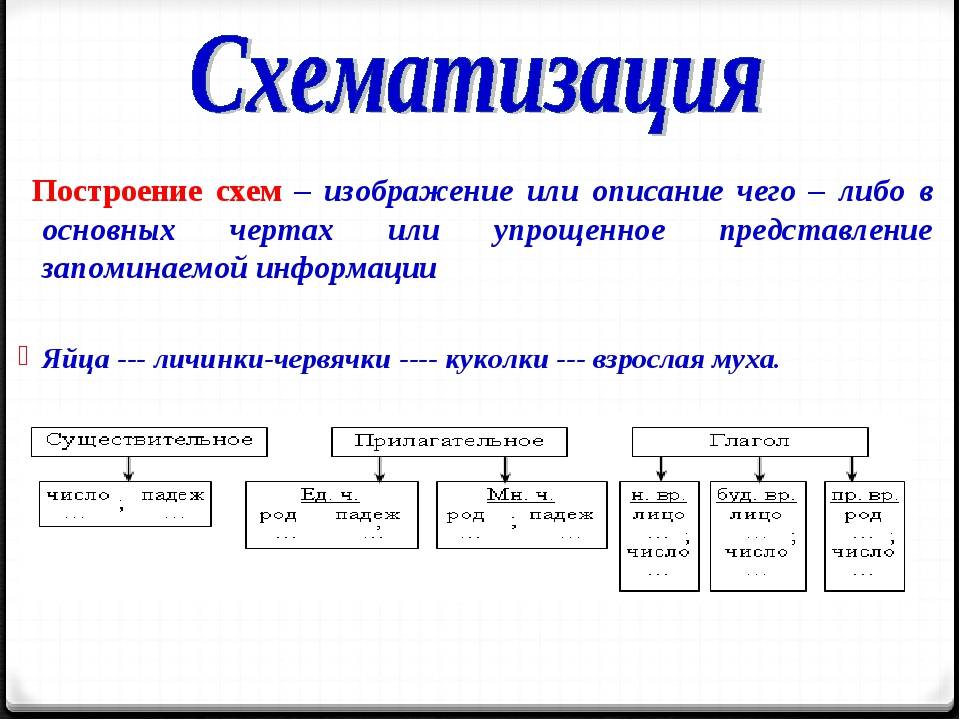 Схема запоминания информации