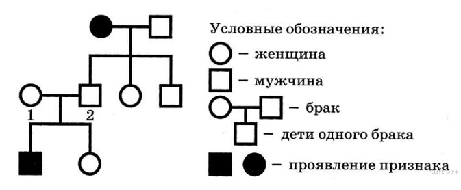 По изображенной на рисунке родословной определите характер наследования признака доминантный или