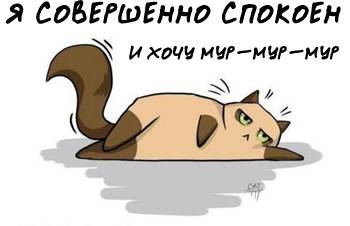Срочно и быстрее или спокойно и по-порядку