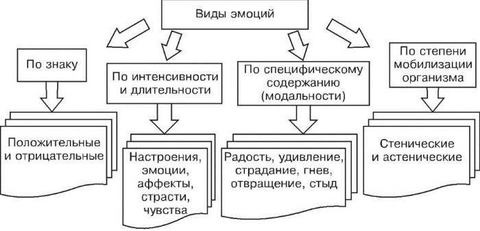 Что такое эмоции?