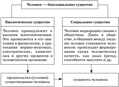 Презентация на тему: "«биологическое и социальное в структуре личности».". скачать бесплатно и без регистрации.