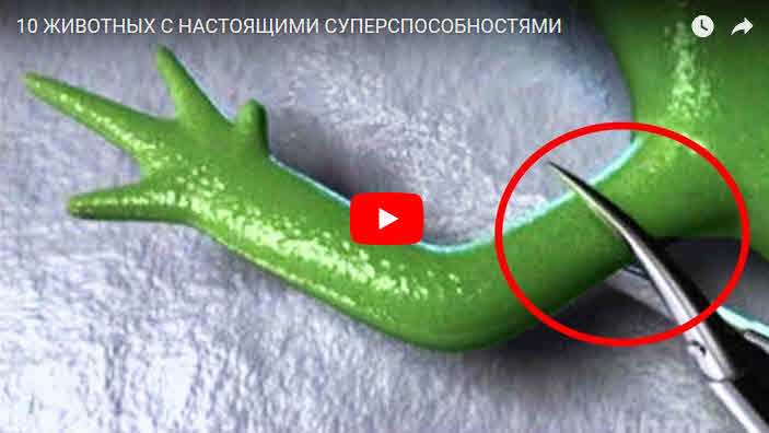 Гедонизм и гедонисты