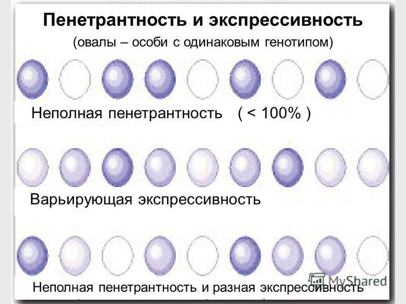 Экспрессивный человек — какой он и каковы причины такого поведения?
