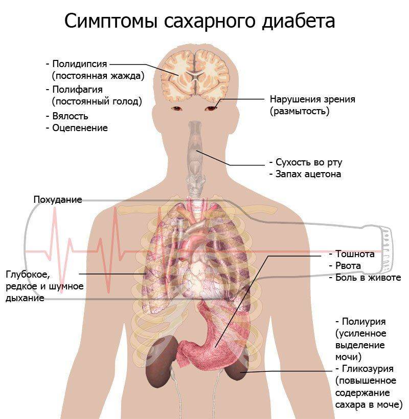 Токсическая энцефалопатия головного мозга последствия