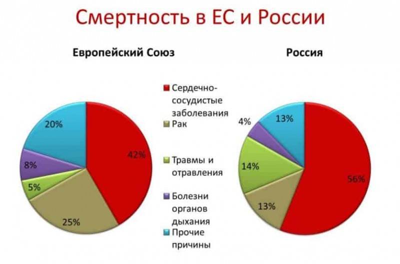 Развитие памяти и внимания у детей: 66 упражнений