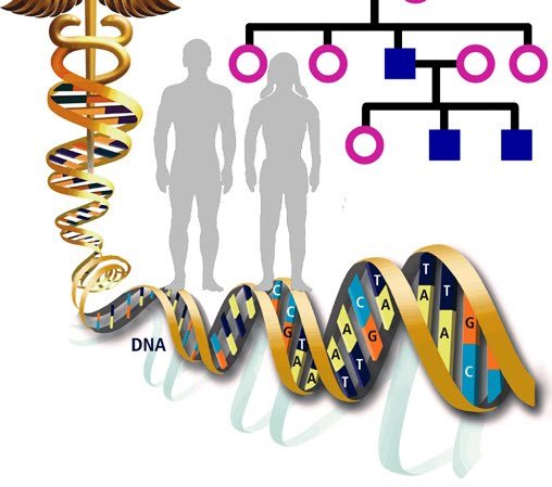 Генетика для детей картинки