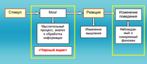 Бихевиоризм