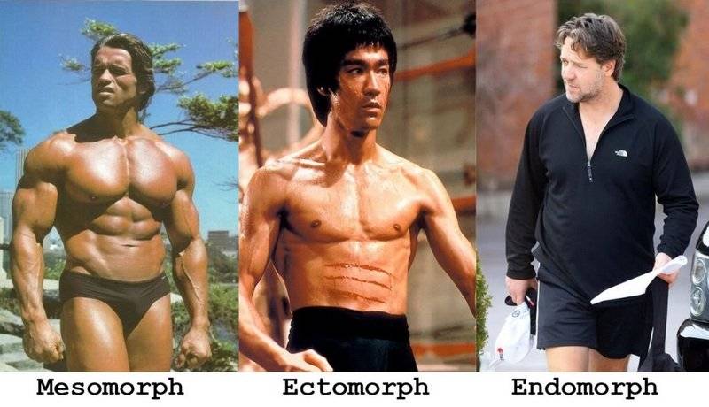 Какой у вас тип телосложения?