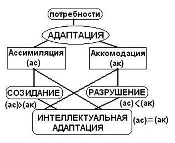 Генетическая психология. психическое развитие как развитие интеллекта: концепция ж. пиаже. - презентация