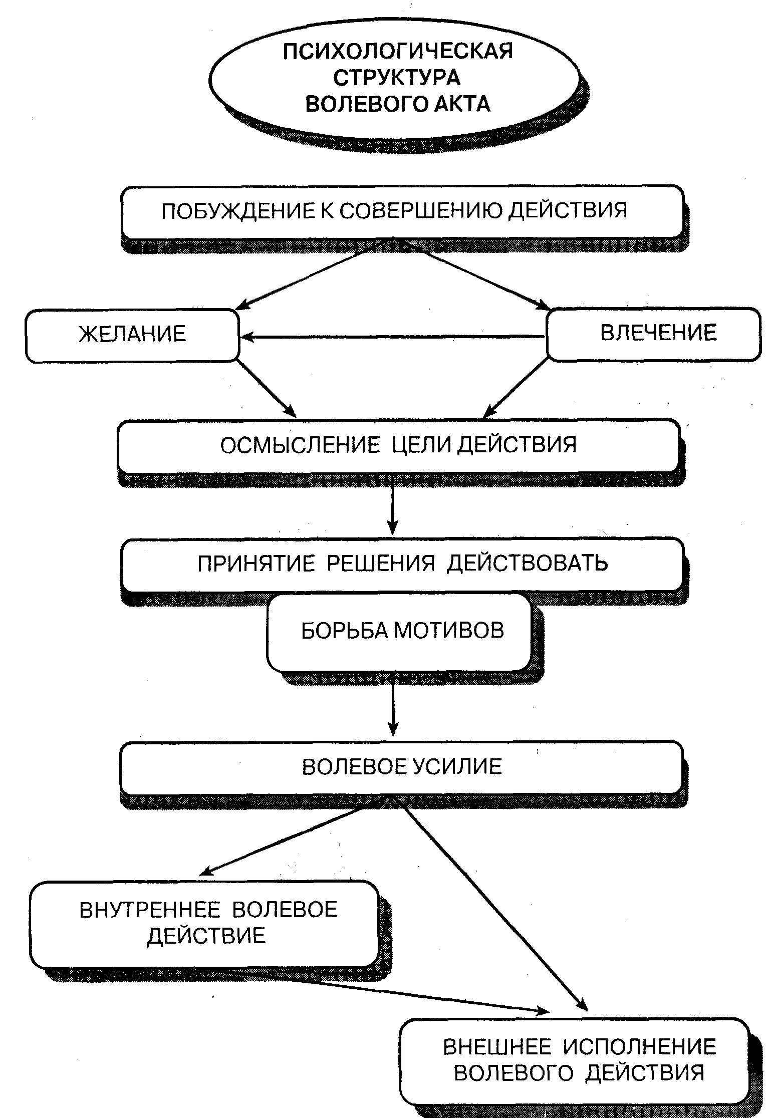 Сила воли: что это такое и как ее развить