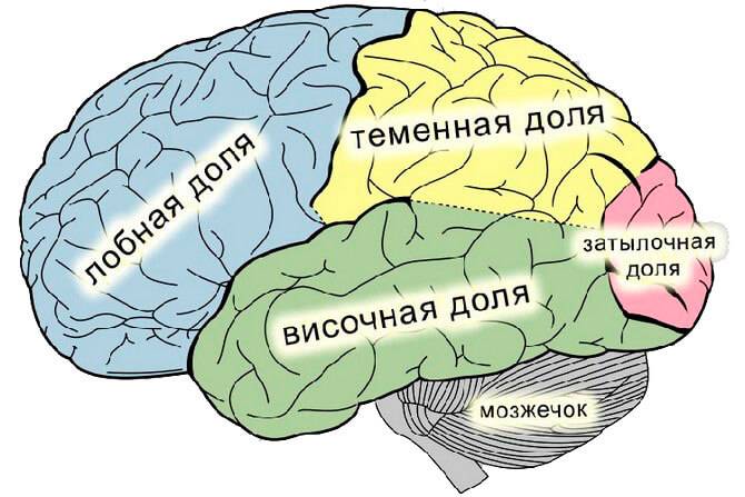 Криптогенная эпилепсия