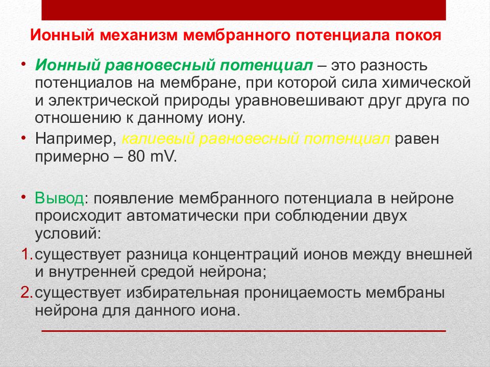 Ионный механизм. Ионные механизмы потенциала покоя. Равновесный потенциал покоя. Потенциал покоя презентация. Природа потенциала покоя.