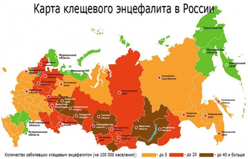 Энцефалит: клещевой, головного мозга, причины, симптомы, диагностика, лечение и профилактика