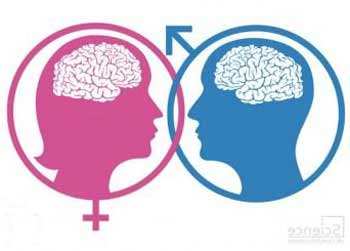 Психологические и энергетические различия между мужчиной и женщиной :: инфониак