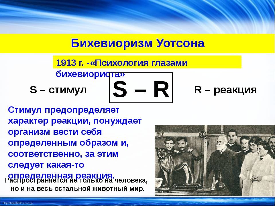 Бихевиоризм в психологии. Ортодоксальный бихевиоризм Дж. Уотсона.. Стимул-реакция бихевиоризм. Бихевиоризм презентация. Формула бихевиоризма.