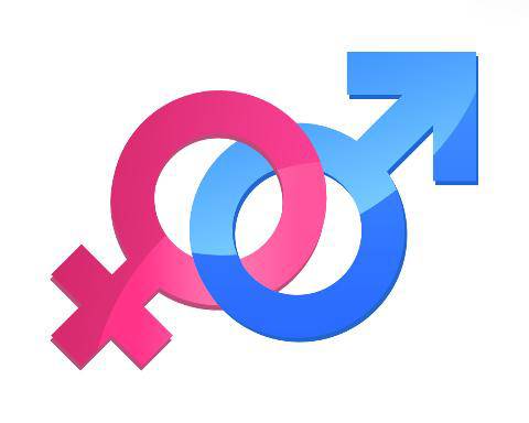 Структура пола человека. понятие биологического пола. социальный пол. гендерная идентичность и гендерные идеалы