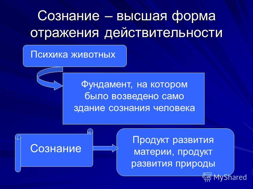 Лекция «психика и сознание»