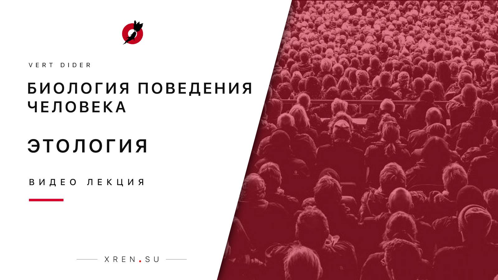 Поведение первых людей. Биология поведения человека. Поведение это в биологии. Биологическое поведение человека. Эволюция поведения человека.