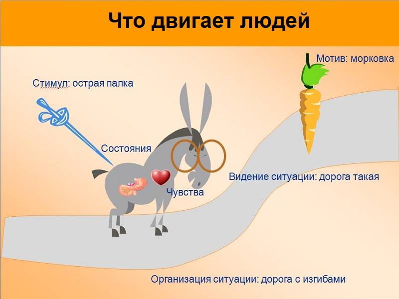 Текучка или текучесть кадров как правильно