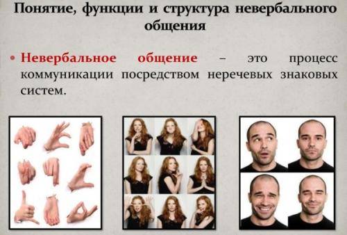 33 секрета невербальной коммуникации: читаем язык женских жестов