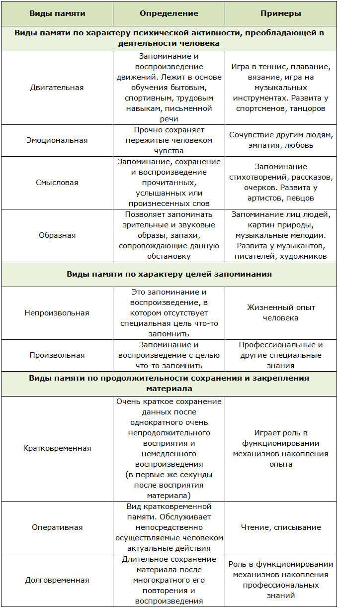 Память в психологии: основные виды и интересны факты