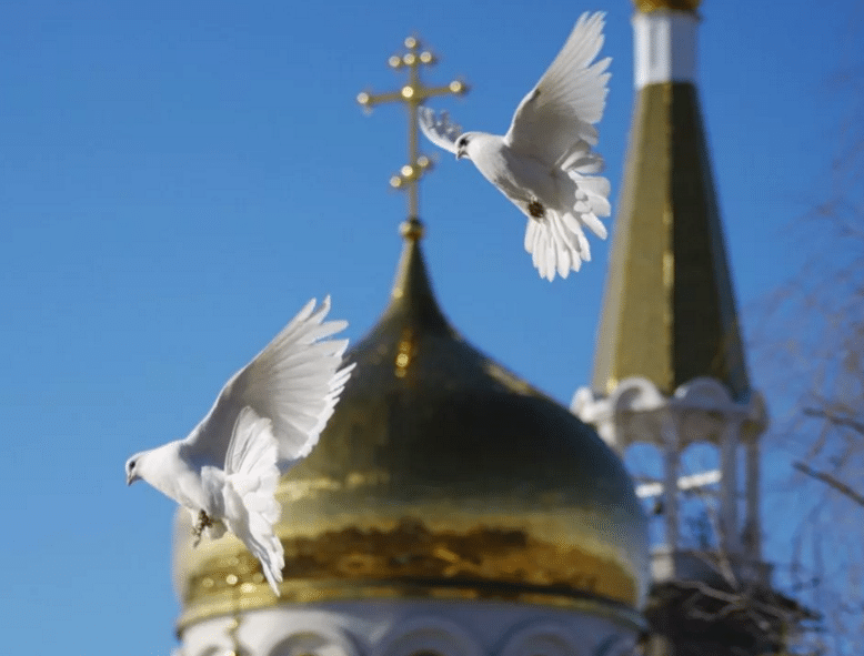 Душевность